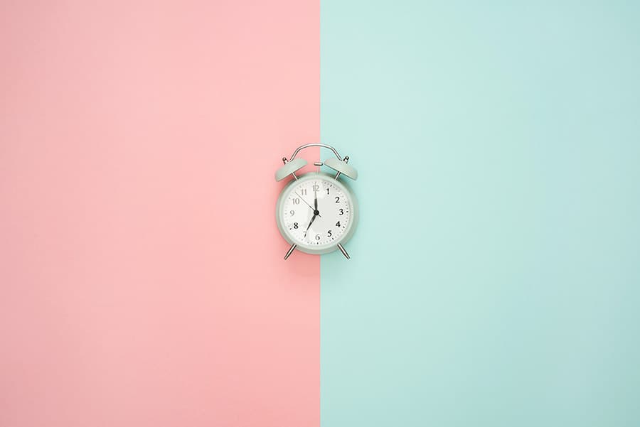 Porta Tortor Vulputate